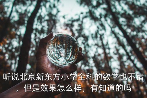 新东方小学数学怎么样,北京新东方小学全科怎样