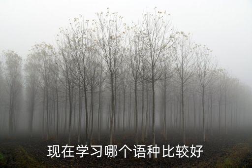 现在学习哪个语种比较好