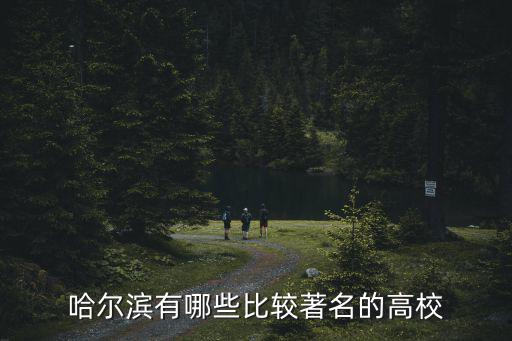 哈尔滨有哪些比较著名的高校