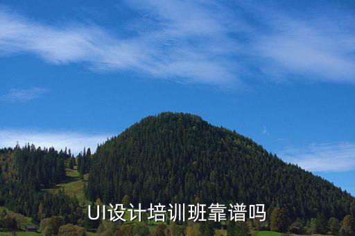 UI设计培训班靠谱吗