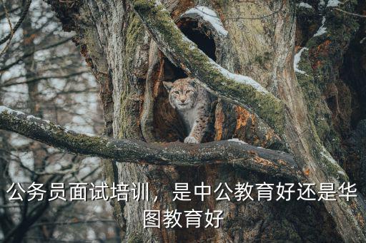 中公教育北京培训什么,是中公教育好还是华图教育好