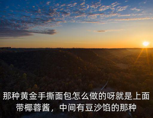 那种黄金手撕面包怎么做的呀就是上面带椰蓉酱，中间有豆沙馅的那种
