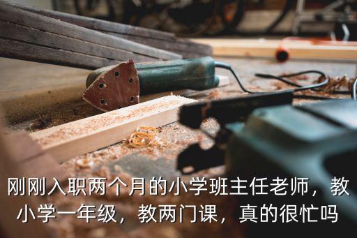 小学教什么课容易,教小学科学容易吗