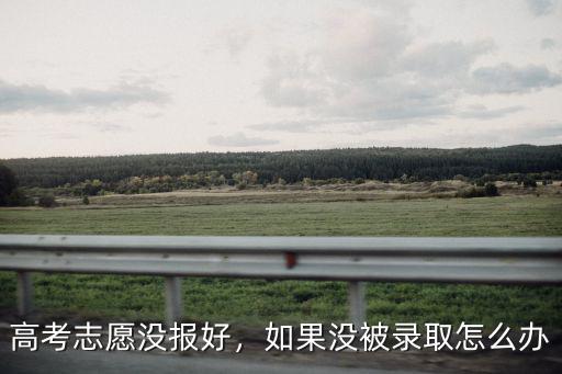高考志愿没报好，如果没被录取怎么办