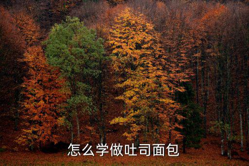 怎么学做面包 开店,想学怎么做面包
