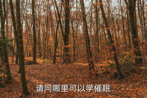 催眠师培训学校在哪里,请问哪里可以学催眠