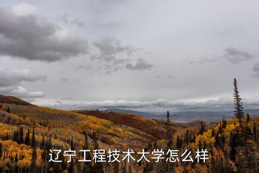 发达技术学校怎么样,辽宁工程技术大学怎么样
