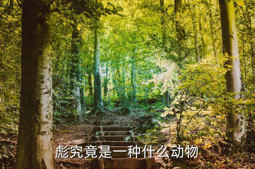 君鸣的意思是什么动物,那男人是什么动物