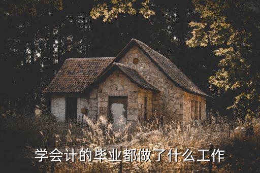 学会计的毕业都做了什么工作