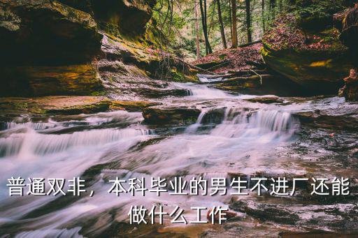 普通双非，本科毕业的男生不进厂还能做什么工作