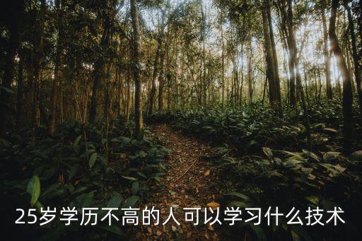 25岁学历不高的人可以学习什么技术