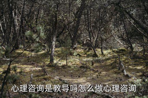 心理咨询是教导吗怎么做心理咨询