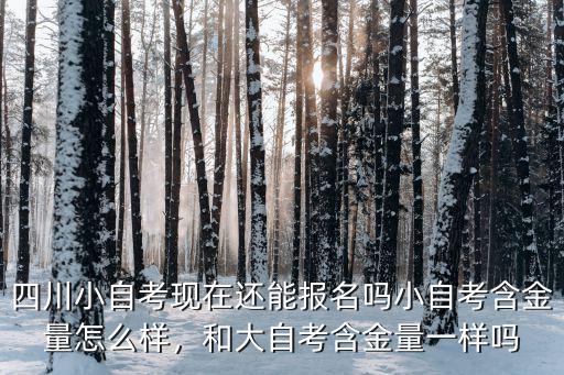 四川小自考怎么报名,小自考含金量怎么样