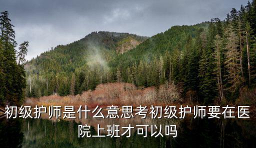初级护师都考些什么条件,初级护师是什么等级