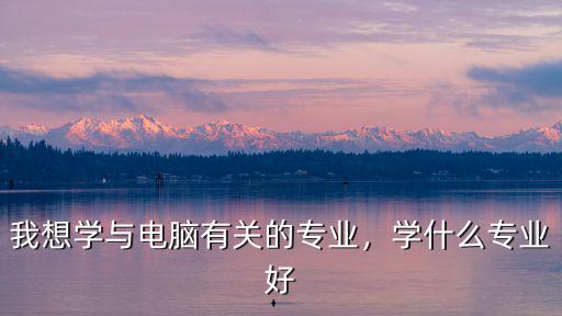 我想学与电脑有关的专业，学什么专业好