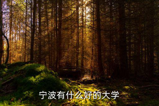 宁波万里大学怎么样,浙江宁波万里学院怎么样