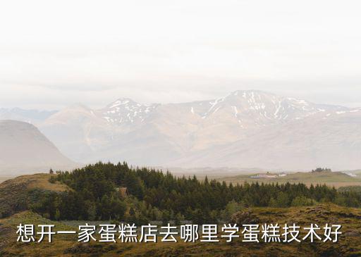 国外想学糕点去哪里,学烘焙一般去哪里好