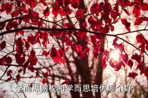 学而思网校和学而思培优哪个好
