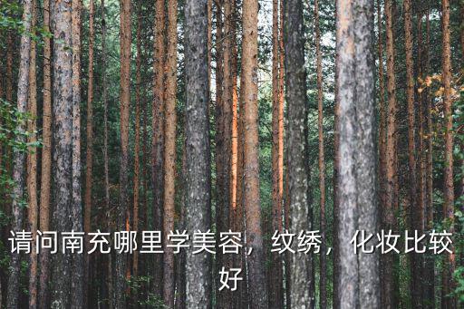 请问南充哪里学美容，纹绣，化妆比较好