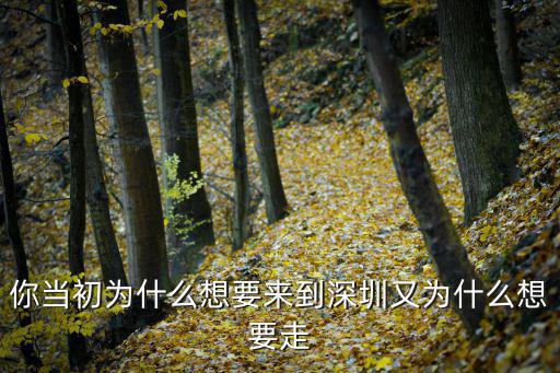 你当初为什么想要来到深圳又为什么想要走