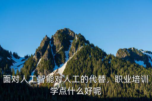 面对人工智能对人工的代替，职业培训学点什么好呢