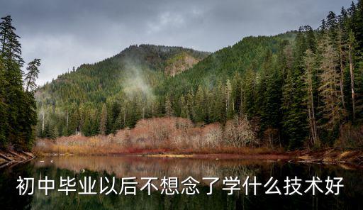 初中毕业以后不想念了学什么技术好