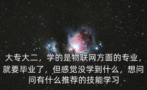 大专大二，学的是物联网方面的专业，就要毕业了，但感觉没学到什么，想问问有什么推荐的技能学习
