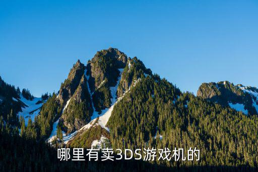 哪里有卖3DS游戏机的