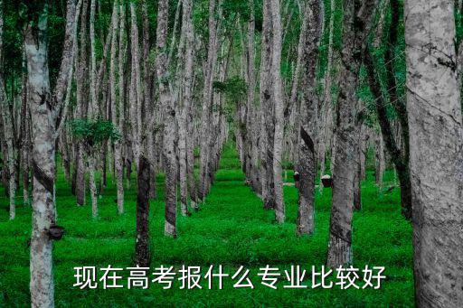 现在高考报什么专业比较好
