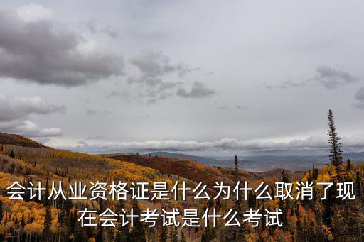 现在学会计考什么证书,现在会计考试是什么考试