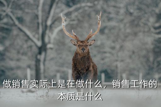 达内销售做什么,销售工作的本质是什么