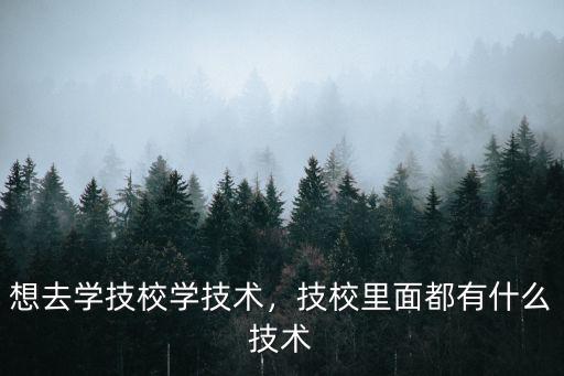 互联网技校都教什么,技校里面都有什么技术