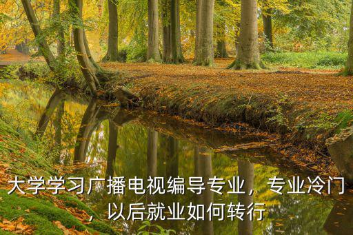怎么学好广播电视编导,大学学习广播电视编导专业