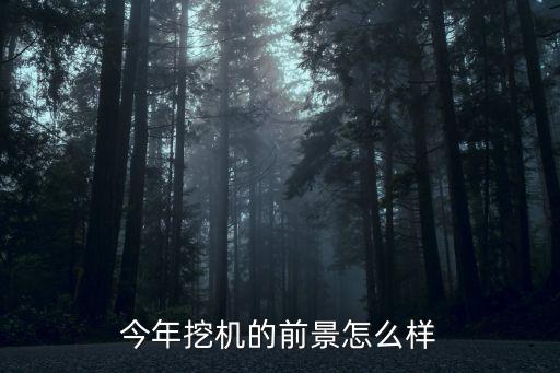 挖掘机的前景怎么样,今年挖机的前景怎么样