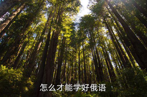 速成俄语怎么样,怎么才能学好俄语