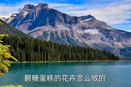 翻糖蛋糕的花卉怎么做的
