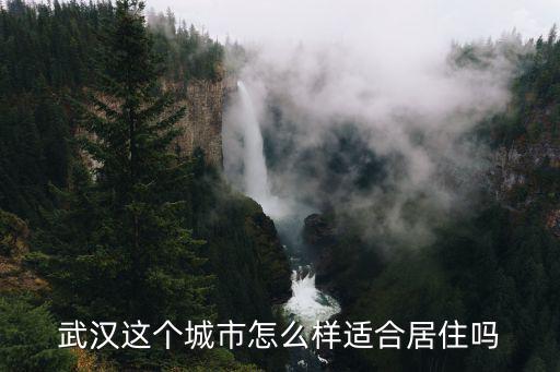 武汉这个城市怎么样适合居住吗