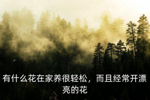 插花什么花花期比较长,有什么好看花期又长的花