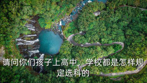 请问你们孩子上高中，学校都是怎样规定选科的