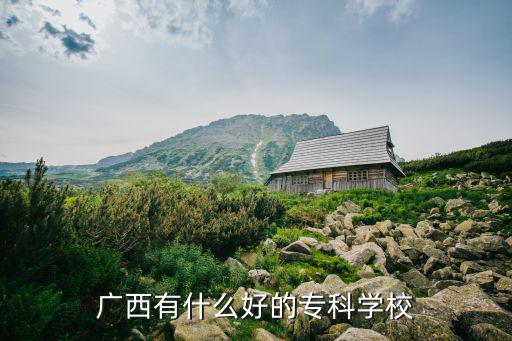 广西有什么好的专科学校