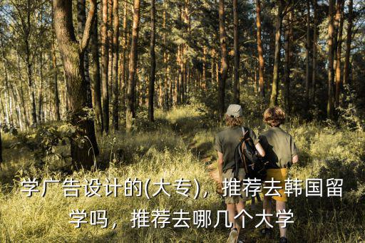 广告设计去哪里学比较好,推荐去韩国留学吗