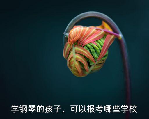 学钢琴的孩子，可以报考哪些学校