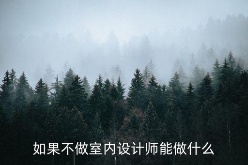 如果不做室内设计师能做什么