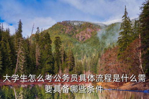 本科生在大二大三都可以考什么,大三的时候考专升本