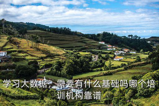 大数据 培训什么,大数据培训的内容是什么