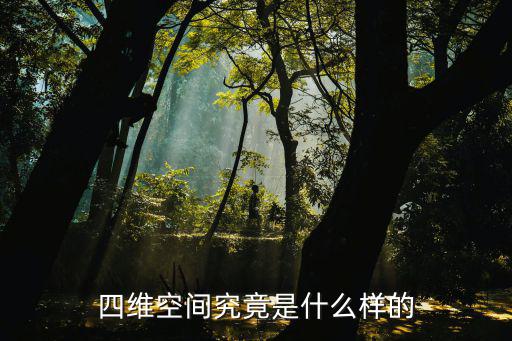 四维针灸是什么样的,四维宇宙到底是什么样的