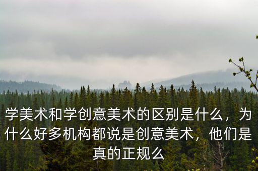 学美术和学创意美术的区别是什么，为什么好多机构都说是创意美术，他们是真的正规么