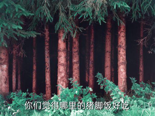 你们觉得哪里的猪脚饭好吃