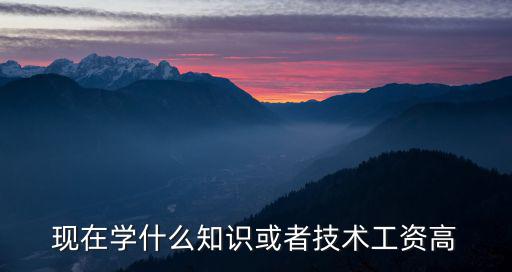 现在学什么技术赚钱啊,你觉得学什么技术最赚钱