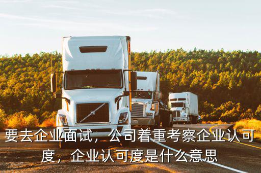 认可度指什么,企业认可度是什么意思